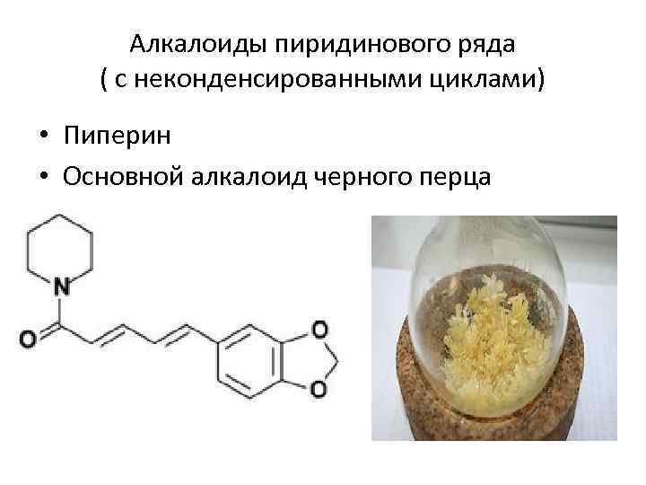 Алкалоиды пиридинового ряда ( с неконденсированными циклами) • Пиперин • Основной алкалоид черного перца