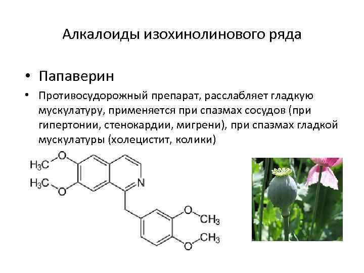 Алкалоиды изохинолинового ряда • Папаверин • Противосудорожный препарат, расслабляет гладкую мускулатуру, применяется при спазмах