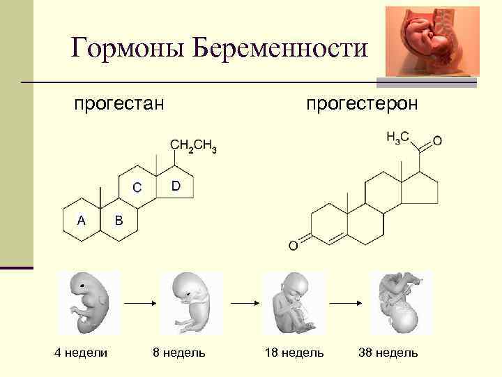 Гормоны после беременности. Гормон беременности. Прогестерон. Прогестерон гормон. Прогестерон гормон беременности.