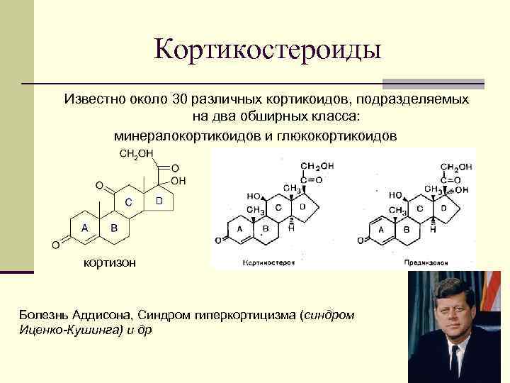 Кортикостероиды Известно около 30 различных кортикоидов, подразделяемых на два обширных класса: минералокортикоидов и глюкокортикоидов