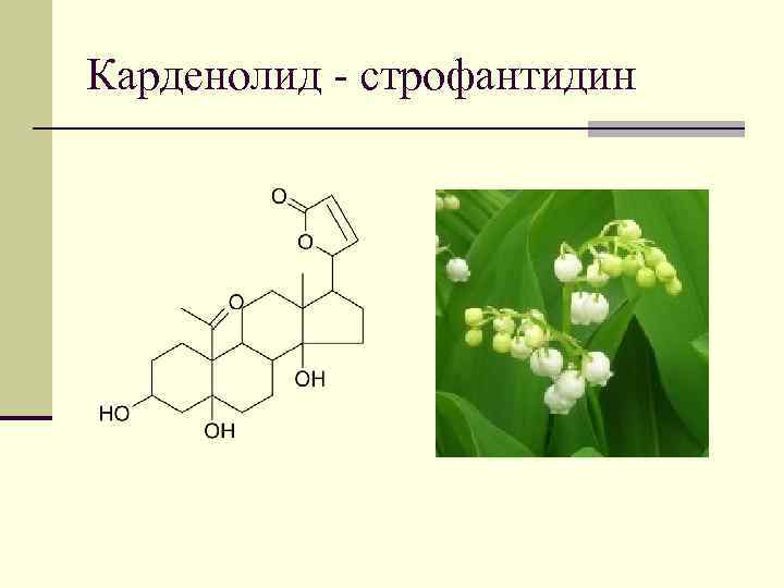 Карденолид - строфантидин 