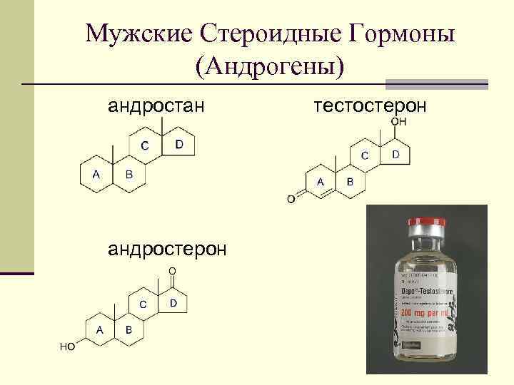 Мужские Стероидные Гормоны (Андрогены) андростан андростерон тестостерон 