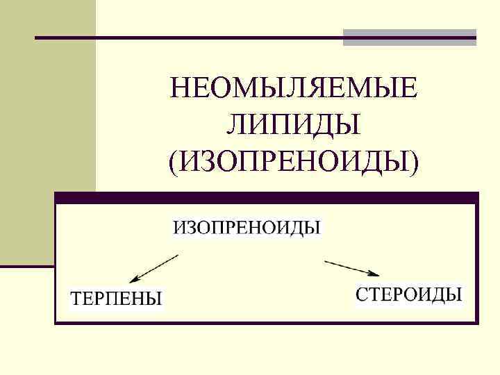 Неомыляемые липиды презентация