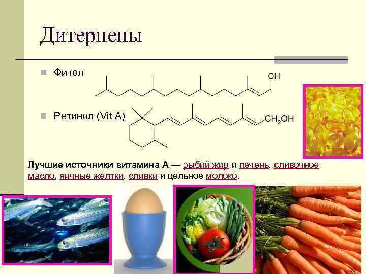 Презентация на тему терпены