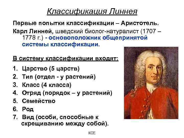 Классификация Линнея Первые попытки классификации – Аристотель. Карл Линней, шведский биолог-натуралист (1707 – 1778