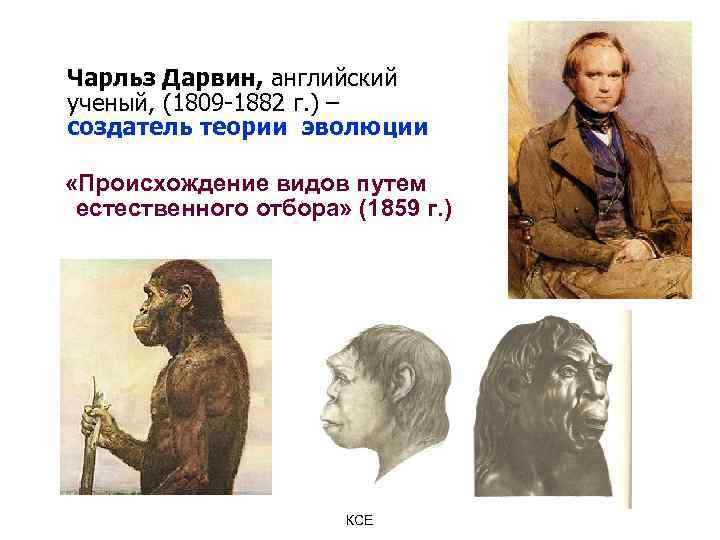 Чарльз Дарвин, английский ученый, (1809 -1882 г. ) – создатель теории эволюции «Происхождение видов