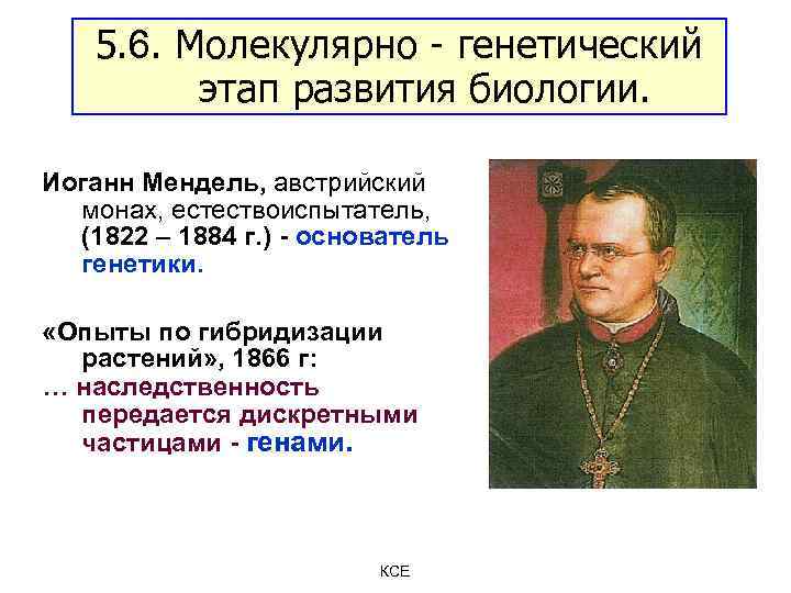 5. 6. Молекулярно - генетический этап развития биологии. Иоганн Мендель, австрийский монах, естествоиспытатель, (1822