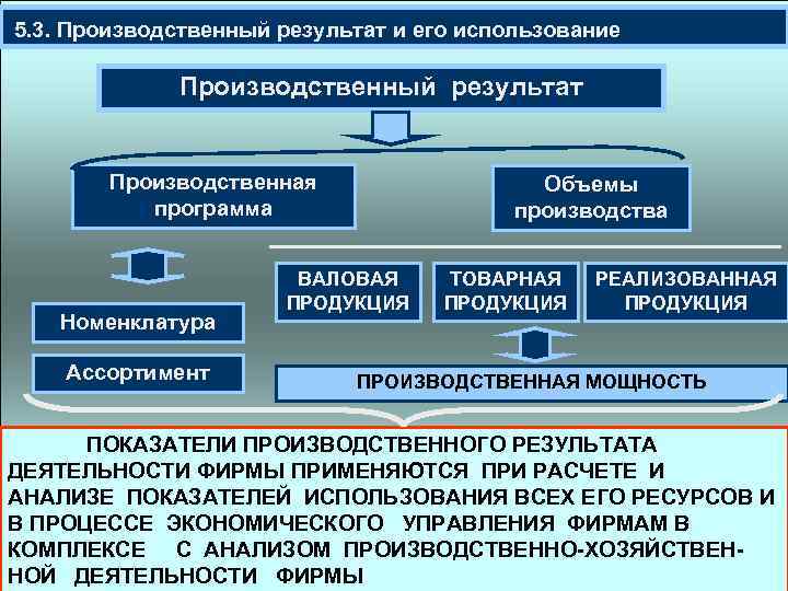  5. 3. Производственный результат и его использование Производственный результат Производственная программа Номенклатура Ассортимент