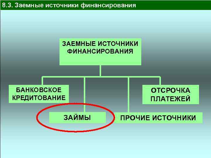 8. 3. Заемные источники финансирования ЗАЕМНЫЕ ИСТОЧНИКИ ФИНАНСИРОВАНИЯ БАНКОВСКОЕ КРЕДИТОВАНИЕ ЗАЙМЫ ОТСРОЧКА ПЛАТЕЖЕЙ ПРОЧИЕ