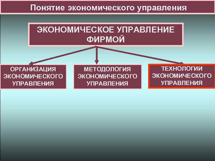Понятие экономического управления ЭКОНОМИЧЕСКОЕ УПРАВЛЕНИЕ ФИРМОЙ ОРГАНИЗАЦИЯ ЭКОНОМИЧЕСКОГО УПРАВЛЕНИЯ МЕТОДОЛОГИЯ ЭКОНОМИЧЕСКОГО УПРАВЛЕНИЯ ТЕХНОЛОГИИ ЭКОНОМИЧЕСКОГО