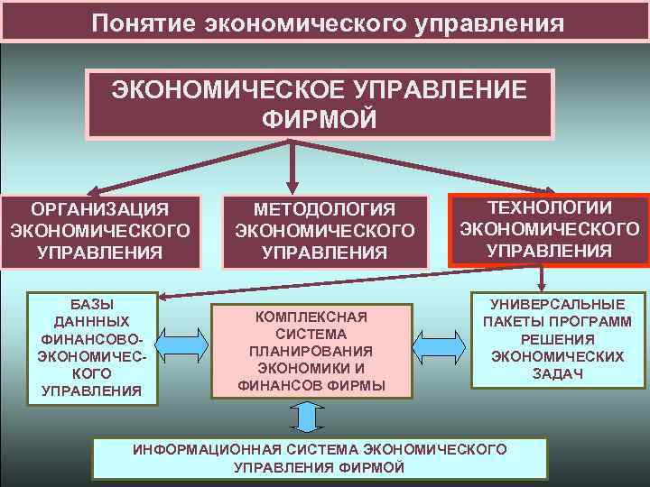 Понятие экономического управления ЭКОНОМИЧЕСКОЕ УПРАВЛЕНИЕ ФИРМОЙ ОРГАНИЗАЦИЯ ЭКОНОМИЧЕСКОГО УПРАВЛЕНИЯ БАЗЫ ДАНННЫХ ФИНАНСОВОЭКОНОМИЧЕСКОГО УПРАВЛЕНИЯ МЕТОДОЛОГИЯ