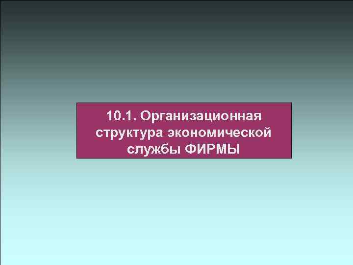 10. 1. Организационная структура экономической службы ФИРМЫ 