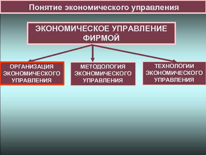 Понятие экономического управления ЭКОНОМИЧЕСКОЕ УПРАВЛЕНИЕ ФИРМОЙ ОРГАНИЗАЦИЯ ЭКОНОМИЧЕСКОГО УПРАВЛЕНИЯ МЕТОДОЛОГИЯ ЭКОНОМИЧЕСКОГО УПРАВЛЕНИЯ ТЕХНОЛОГИИ ЭКОНОМИЧЕСКОГО