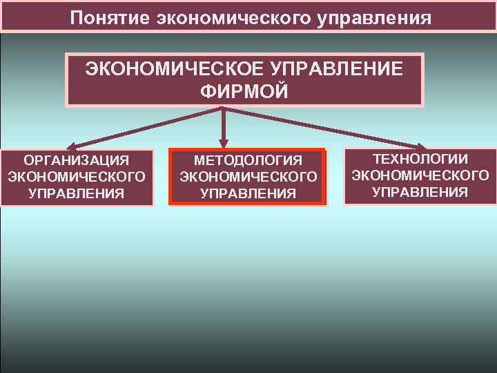 Понятие экономического управления ЭКОНОМИЧЕСКОЕ УПРАВЛЕНИЕ ФИРМОЙ ОРГАНИЗАЦИЯ ЭКОНОМИЧЕСКОГО УПРАВЛЕНИЯ МЕТОДОЛОГИЯ ЭКОНОМИЧЕСКОГО УПРАВЛЕНИЯ ТЕХНОЛОГИИ ЭКОНОМИЧЕСКОГО