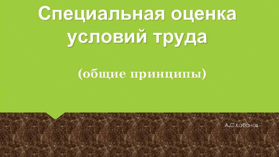 Специальная оценка условий труда (общие принципы) А. С. Кабанов 