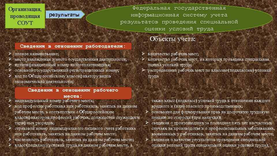 Организация, проводящая СОУТ результаты Федеральная государственная информационная систему учета результатов проведения специальной оценки условий