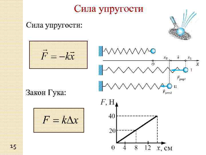 Сила упругости: Закон Гука: 15 