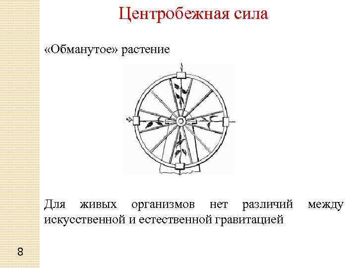Центробежная сила. Центробежная сила Карусель. Центробежная сила рисунок. Центробежная сила для детей. Направление центробежной силы земли.