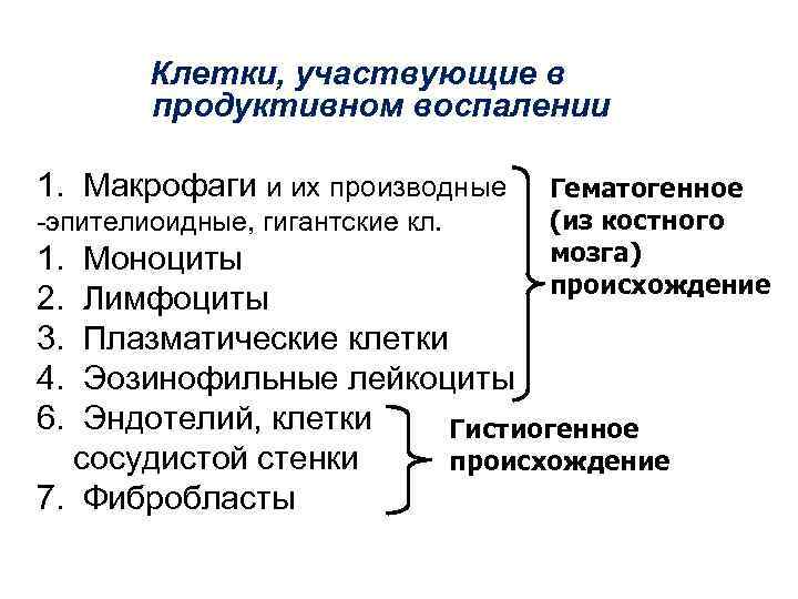 Клетки, участвующие в продуктивном воспалении 1. Макрофаги и их производные -эпителиоидные, гигантские кл. 1.