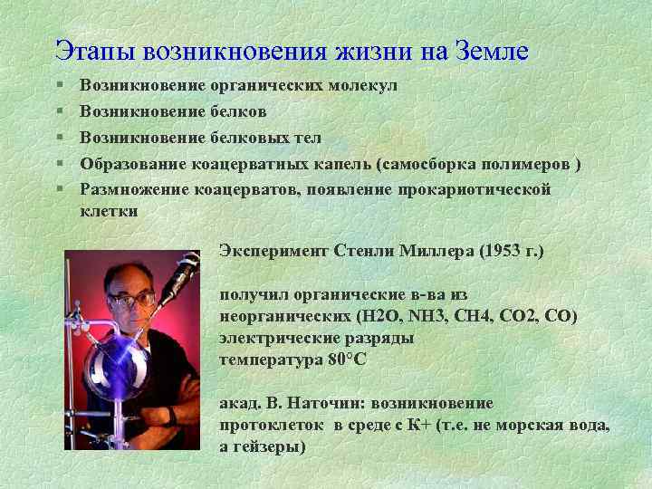 Этапы возникновения жизни на Земле § § § Возникновение органических молекул Возникновение белковых тел