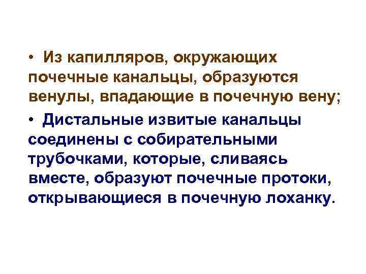  • Из капилляров, окружающих почечные канальцы, образуются венулы, впадающие в почечную вену; •