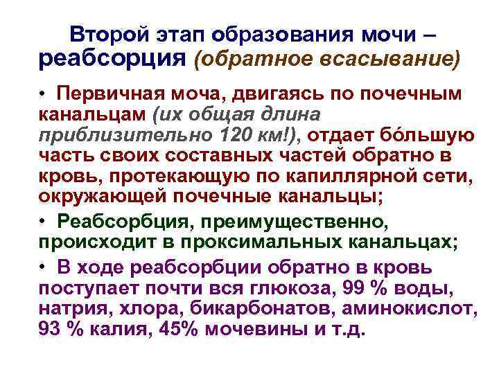 Второй этап образования мочи – реабсорция (обратное всасывание) • Первичная моча, двигаясь по почечным