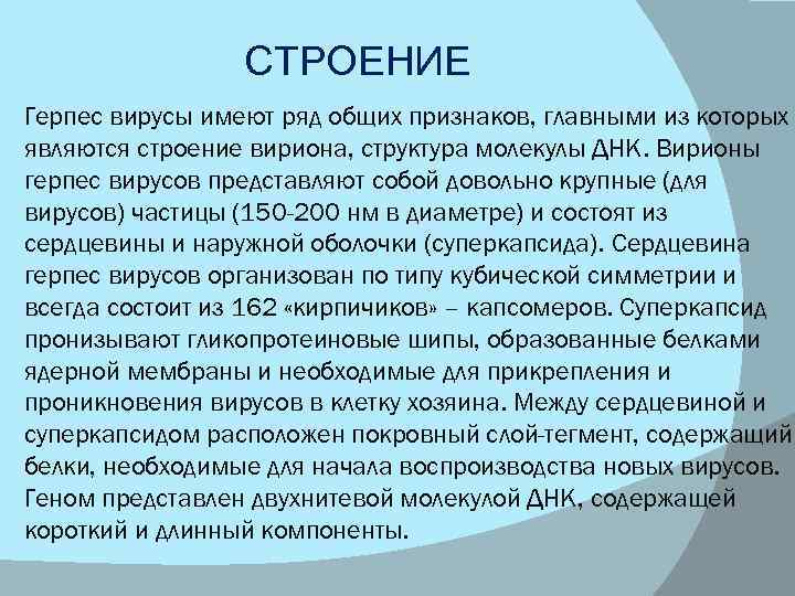 СТРОЕНИЕ Герпес вирусы имеют ряд общих признаков, главными из которых являются строение вириона, структура