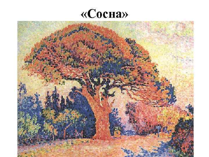  «Сосна» 