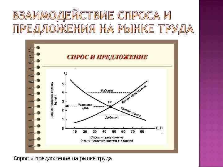 Предложения рабочей силы над спросом