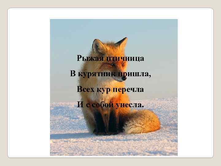 Рыжая птичница В курятник пришла, Всех кур перечла И с собой унесла. 