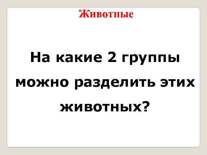 Животные На какие 2 группы можно разделить этих животных? 
