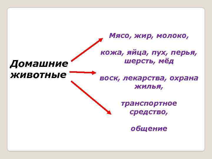Мясо, жир, молоко, Домашние животные кожа, яйца, пух, перья, шерсть, мёд воск, лекарства, охрана