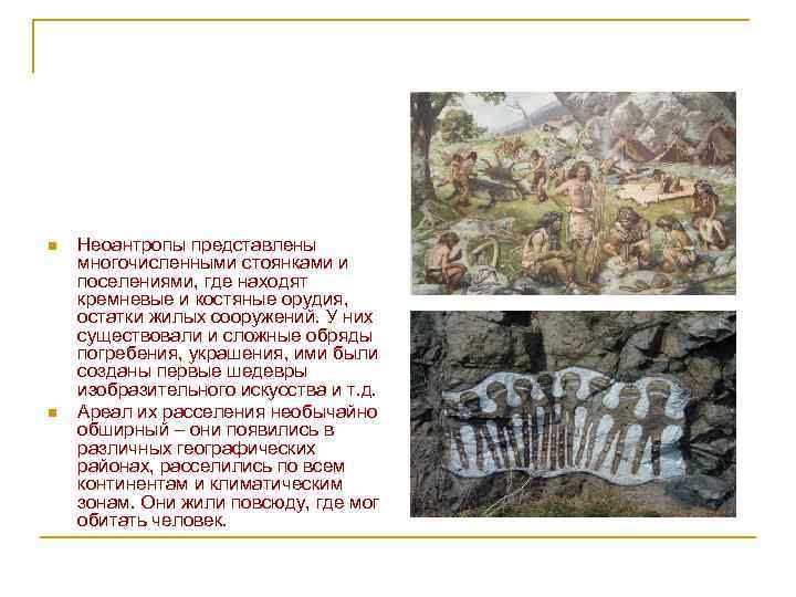 n n Неоантропы представлены многочисленными стоянками и поселениями, где находят кремневые и костяные орудия,