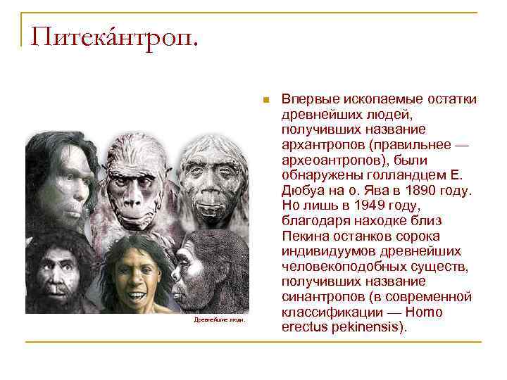Питекáнтроп. n Древнейшие люди. Впервые ископаемые остатки древнейших людей, получивших название архантропов (правильнее —