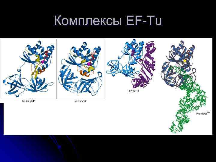 Комплексы EF-Tu 