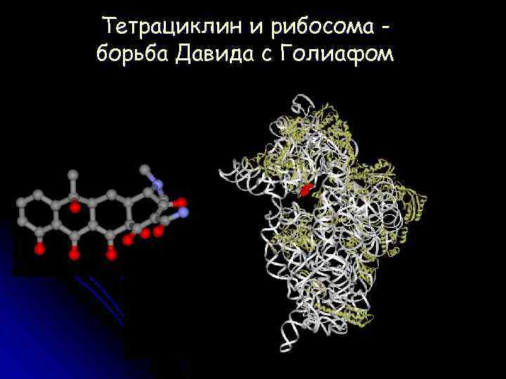 Тетрациклин и рибосома борьба Давида с Голиафом 