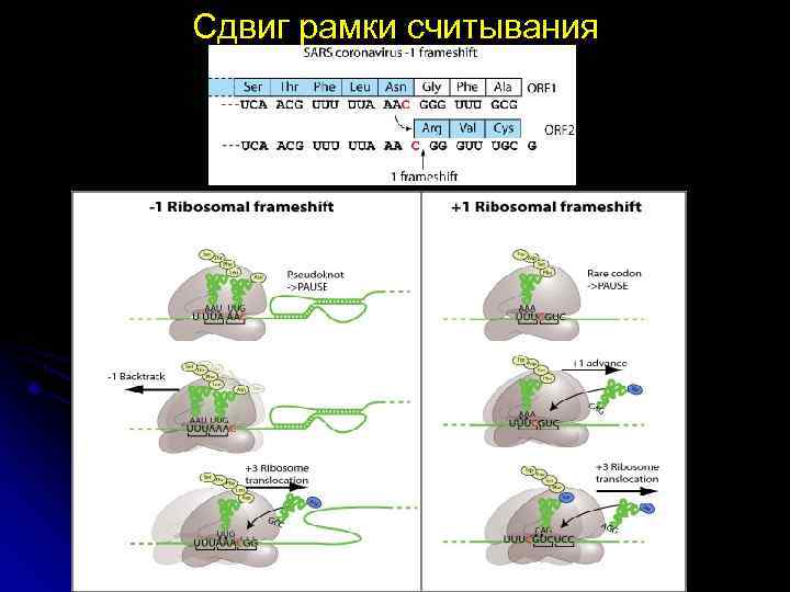 Сдвиг рамки считывания 