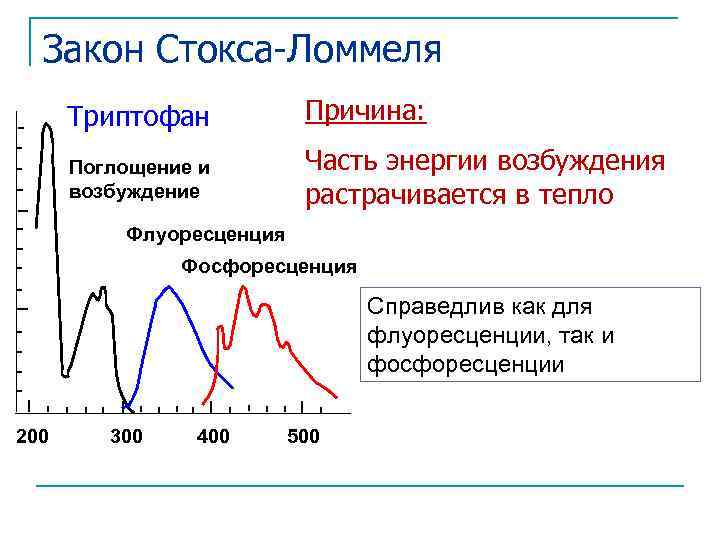 Закон Стокса-Ломмеля Триптофан Причина: Поглощение и возбуждение Часть энергии возбуждения растрачивается в тепло Флуоресценция