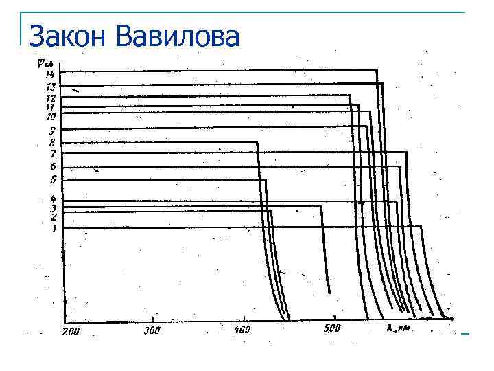 Закон Вавилова 