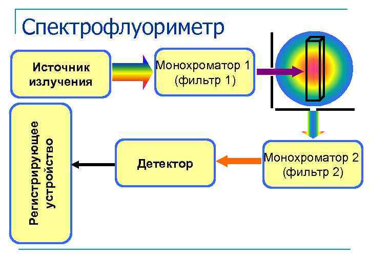 Принципиальная схема спектрофлуориметра