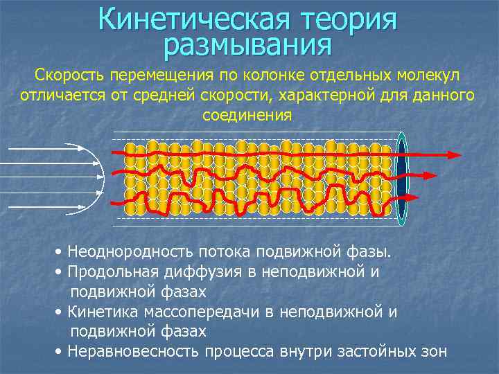 Кинетическая теория размывания Скорость перемещения по колонке отдельных молекул отличается от средней скорости, характерной