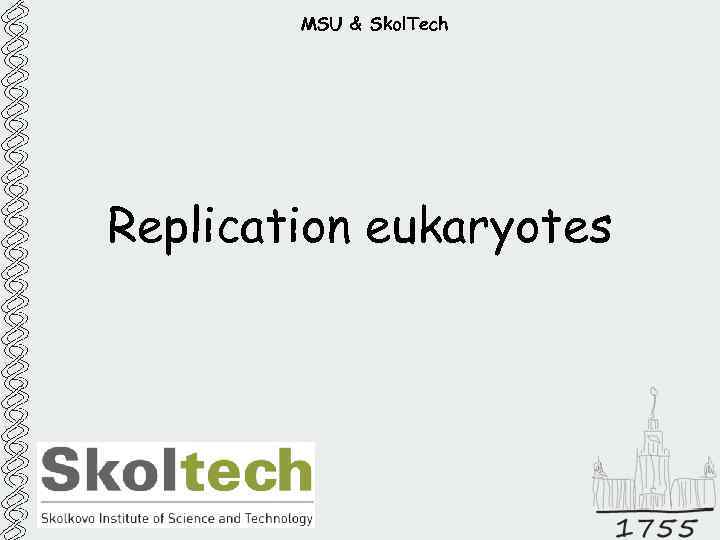 MSU & Skol. Tech Replication eukaryotes 