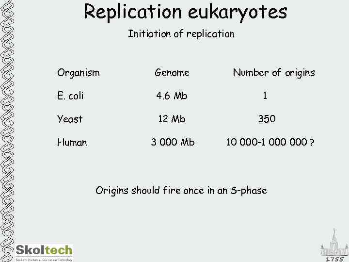 Replication eukaryotes Initiation of replication Organism Genome Number of origins E. coli 4. 6
