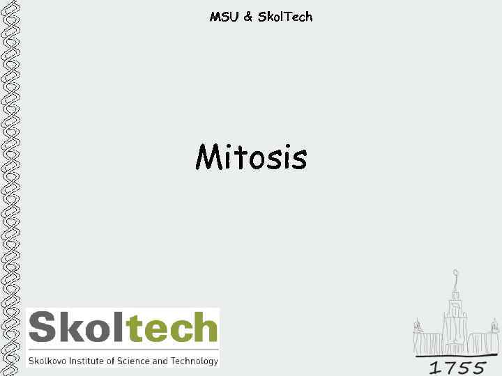 MSU & Skol. Tech Mitosis 