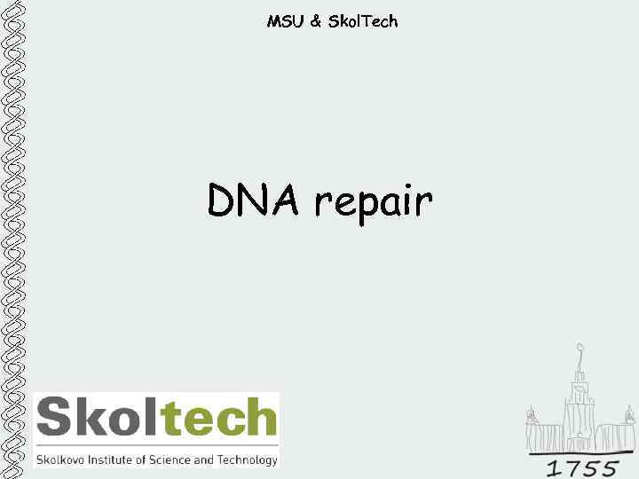 MSU & Skol. Tech DNA repair 