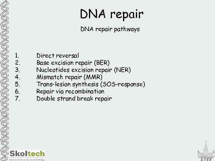 DNA repair pathways 1. 2. 3. 4. 5. 6. 7. Direct reversal Base excision