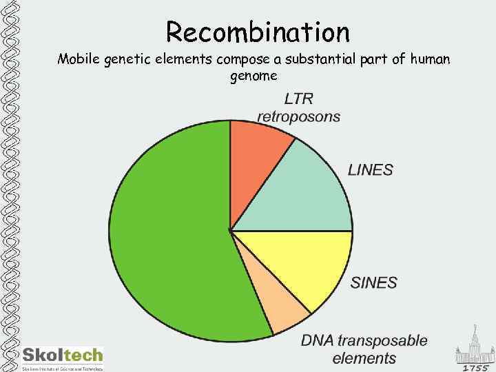 Recombination Mobile genetic elements compose a substantial part of human genome 