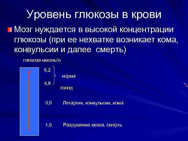 Уровень глюкозы в крови Мозг нуждается в высокой концентрации глюкозы (при ее нехватке возникает