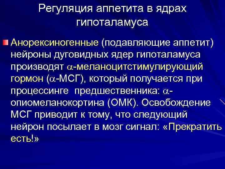 Регуляция аппетита в ядрах гипоталамуса Анорексиногенные (подавляющие аппетит) нейроны дуговидных ядер гипоталамуса производят -меланоцитстимулирующий