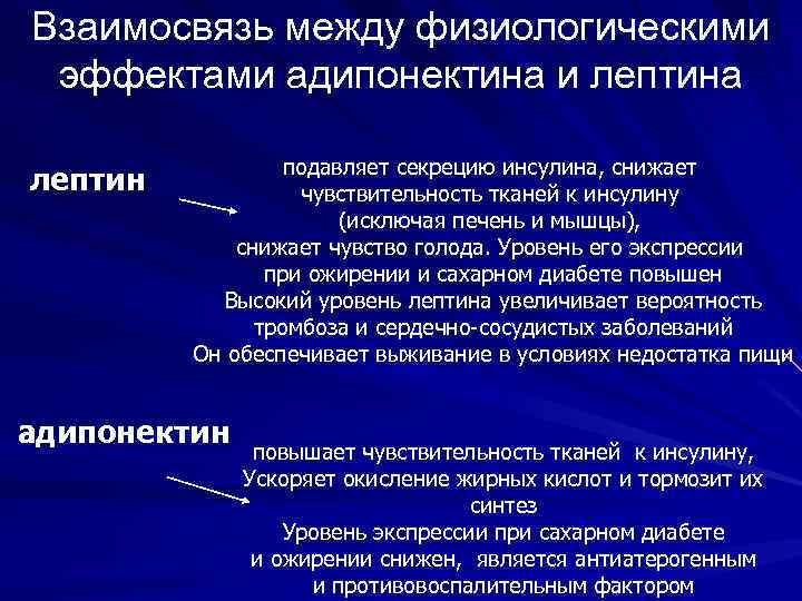 Взаимосвязь между физиологическими эффектами адипонектина и лептина лептин подавляет секрецию инсулина, снижает чувствительность тканей